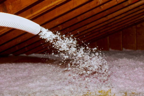 Best Crawl Space Insulation  in Big Stone Gap, VA