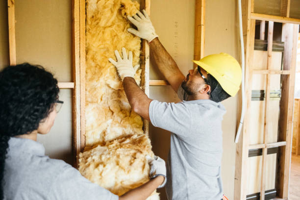 Best Insulation Replacement Services  in Big Stone Gap, VA