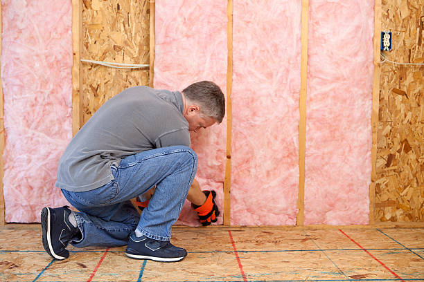 Best Affordable Insulation Services  in Big Stone Gap, VA