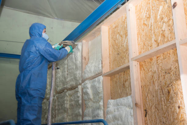 Best Commercial Insulation Contractor  in Big Stone Gap, VA
