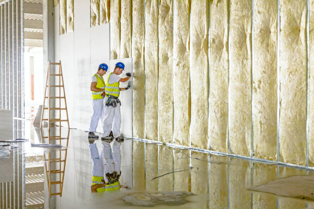 Insulation Repair Services in Big Stone Gap, VA